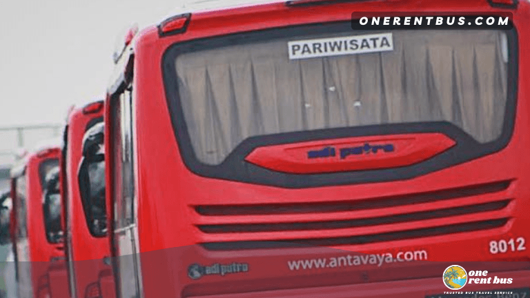 Antavaya - Big Bus - One Rent Bus 03