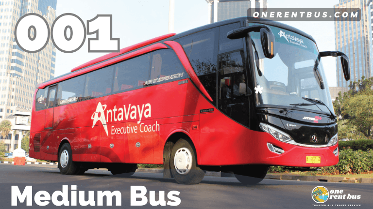 Antavaya - Medium Bus - One Rent Bus 01