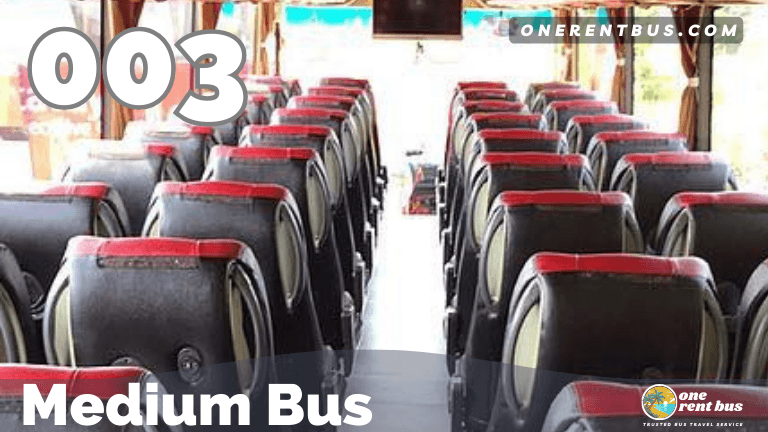 Antavaya - Medium Bus - One Rent Bus 03