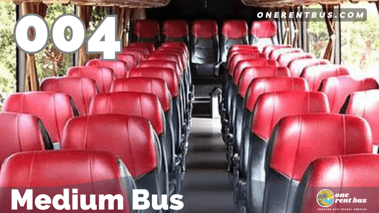 Antavaya - Medium Bus - One Rent Bus 04