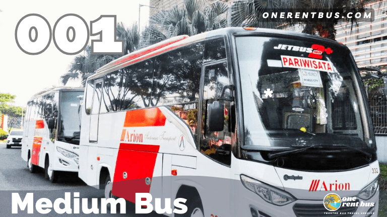 Arion - Medium Bus - One Rent Bus 01