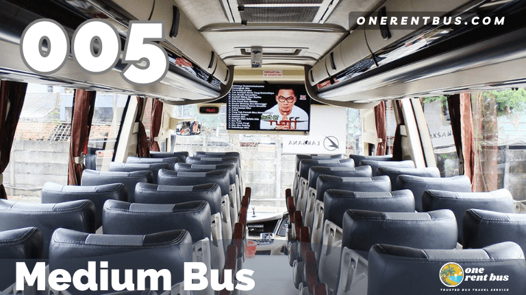 Arion - Medium Bus - One Rent Bus 05