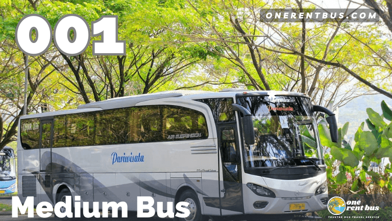 Kerub - Medium Bus - One Rent Bus 01