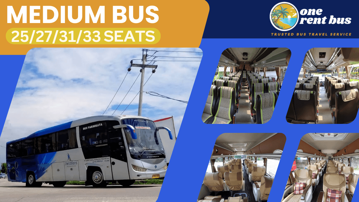 Medium Bus Aerotrans